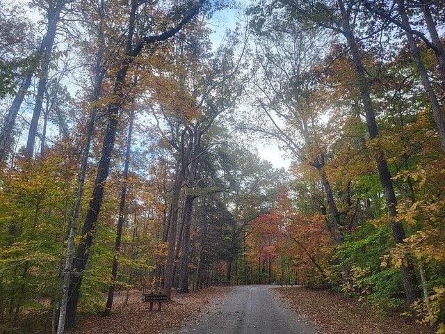 Fall at the Farmville 5