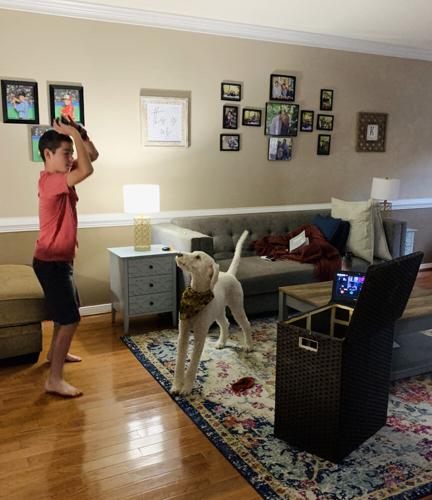 Powhatan full virtual sees ups and downs in first 9 weeks