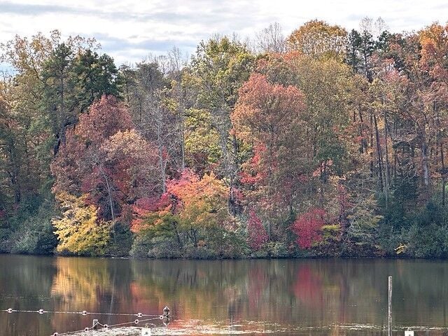 Fall at the Farmville 5