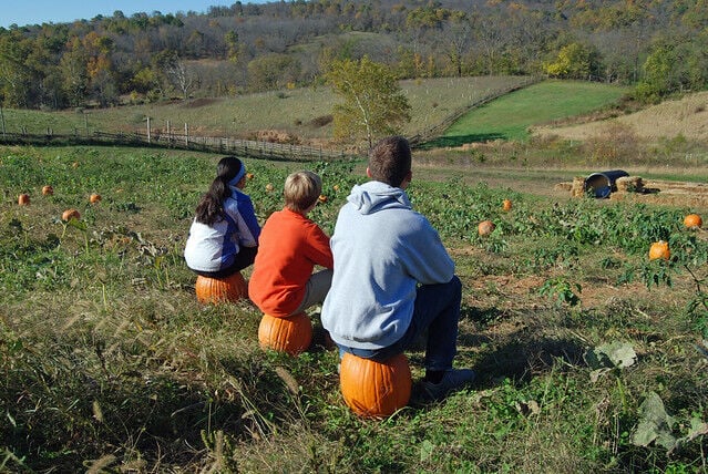 15 fall festivities at Virginia State Parks
