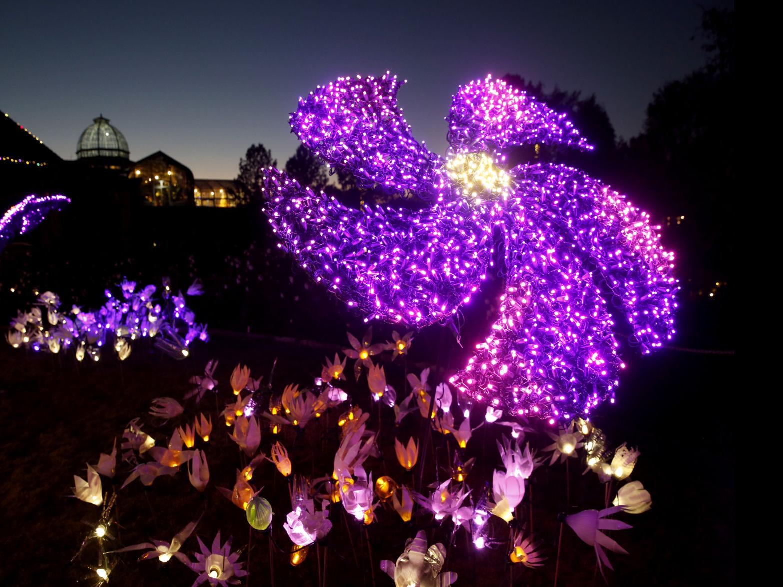 Dominion Energy Gardenfest Of Lights 2017 Naturally Ever After Stories In Lights Entertainment Richmond Com