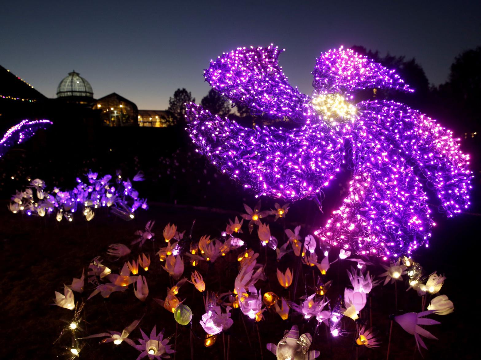 Dominion Energy Gardenfest Of Lights 2017 Naturally Ever After Stories In Lights Entertainment Richmond Com