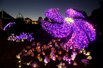 Dominion Energy Gardenfest Of Lights 2017 Naturally Ever After Stories In Lights Entertainment Richmond Com