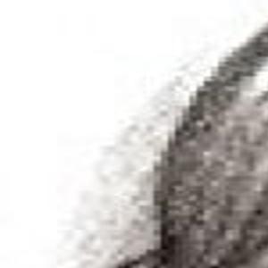 Sally Hemings Richmond Com