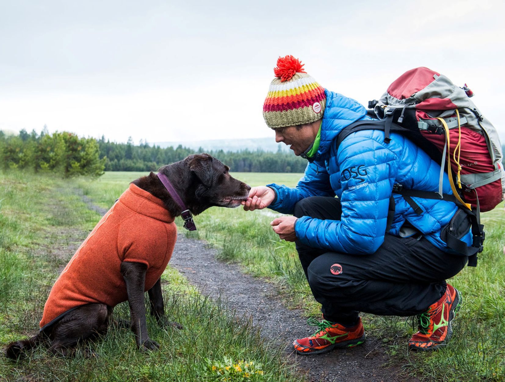 Ruffwear fernie best sale fleece dog jacket