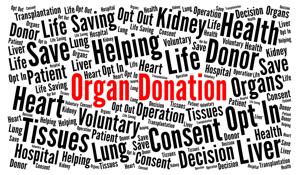 Kidney deaths are preventable. The solution: It’s already in Congress | Guest column