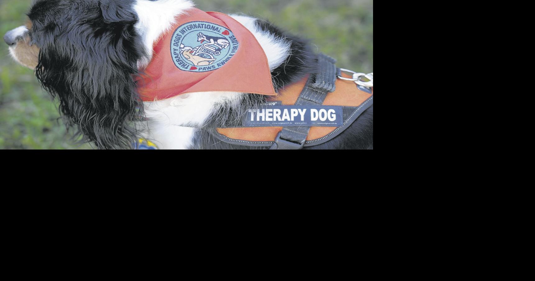 Service dogs help kids learn to read