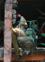 20180331_MET_WILD_BB05