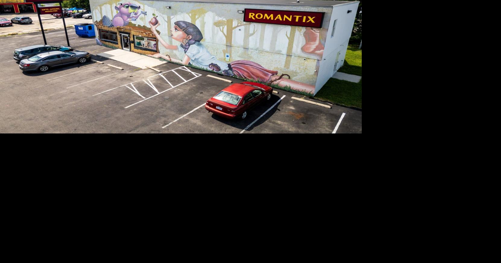 Controversial mural comes down on Midlothian