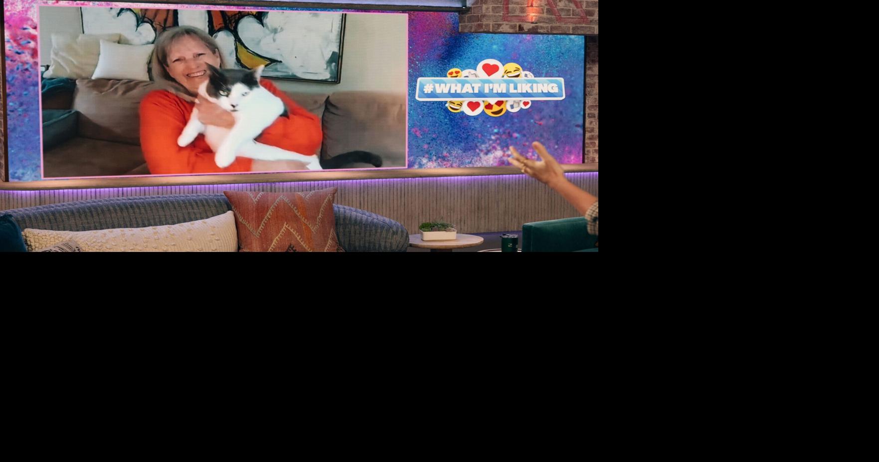 Patches once overweight cat to appear on Kelly Clarkson