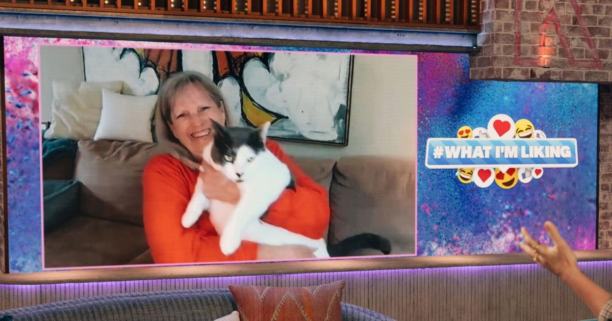Cat Clarkson Rps Patches once overweight cat to appear on Kelly Clarkson