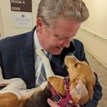 With new protections for experimental animals, Stanley calls for adoption of rescued beagles