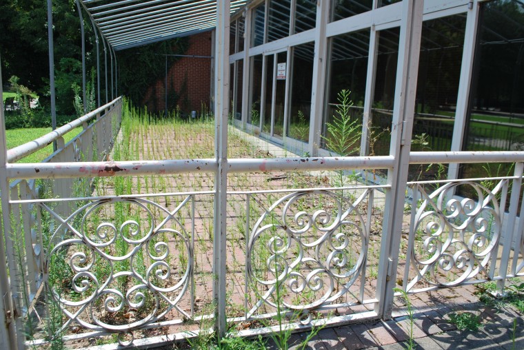 Why Richmond, Why?!? Sixth Street Marketplace