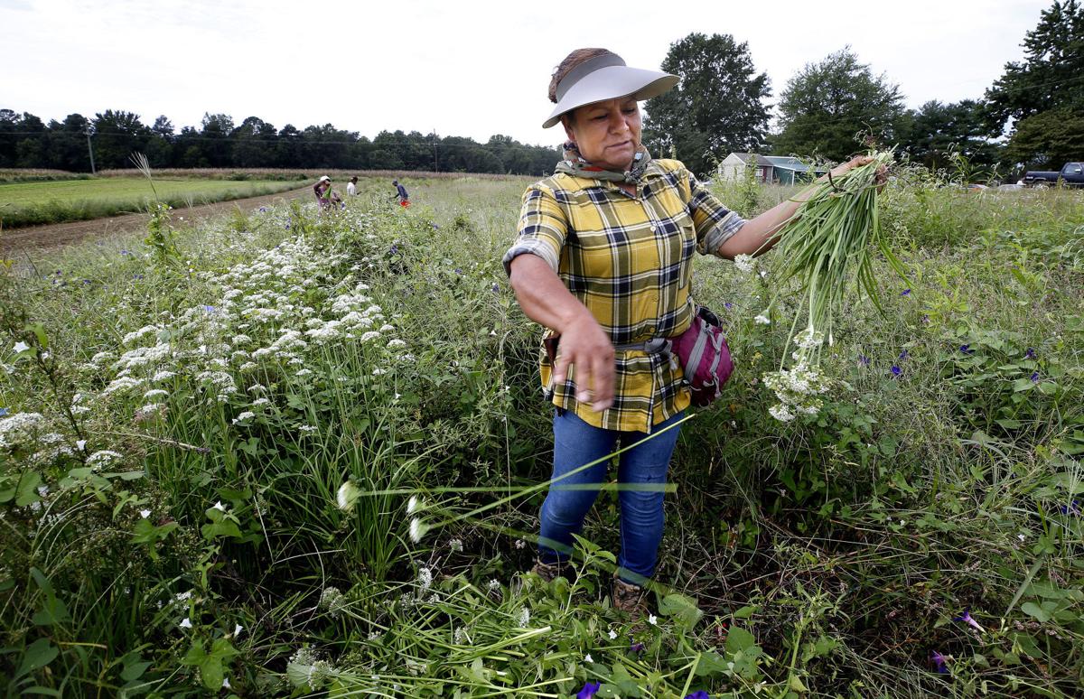 Richmondbased Seasonal Roots delivers locally grown produce all year