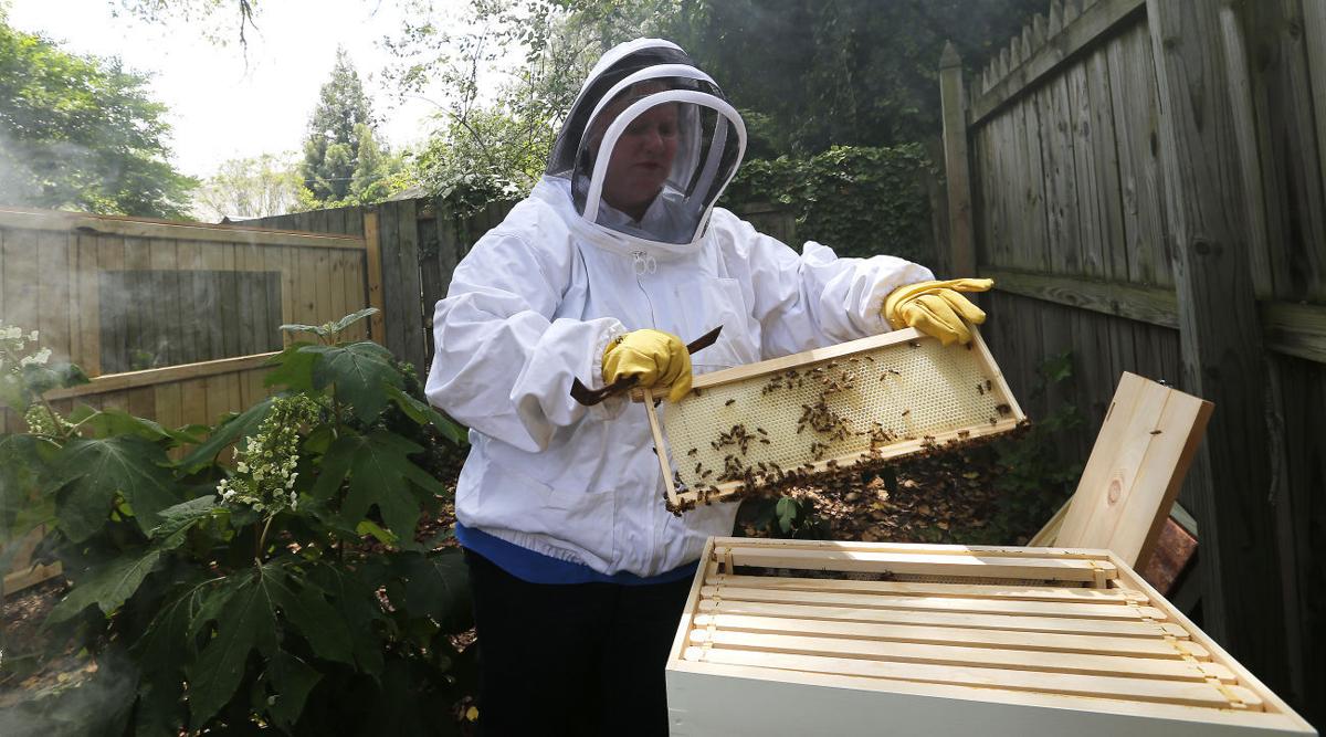 Urban beekeeping can be a sweet hobby