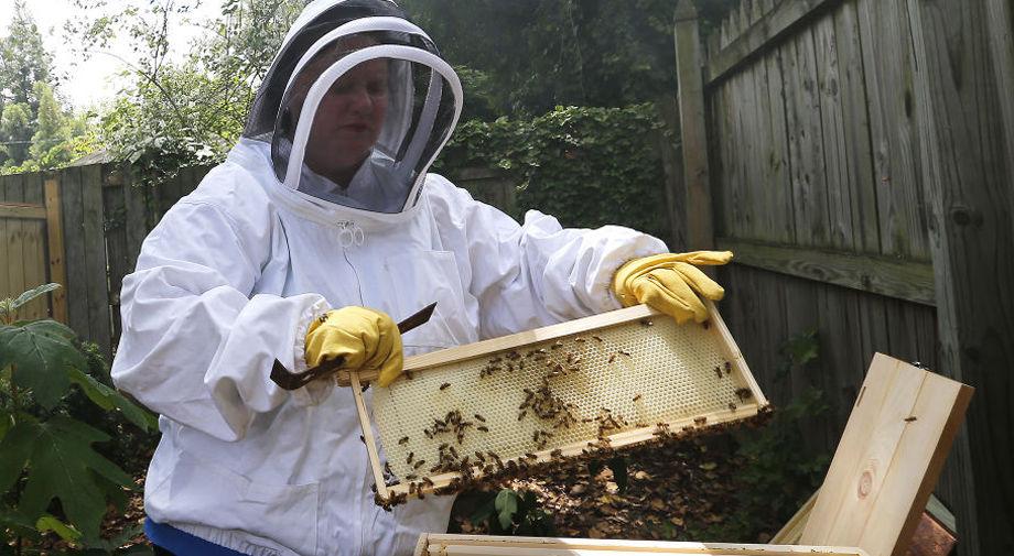 Urban beekeeping can be a sweet hobby Life