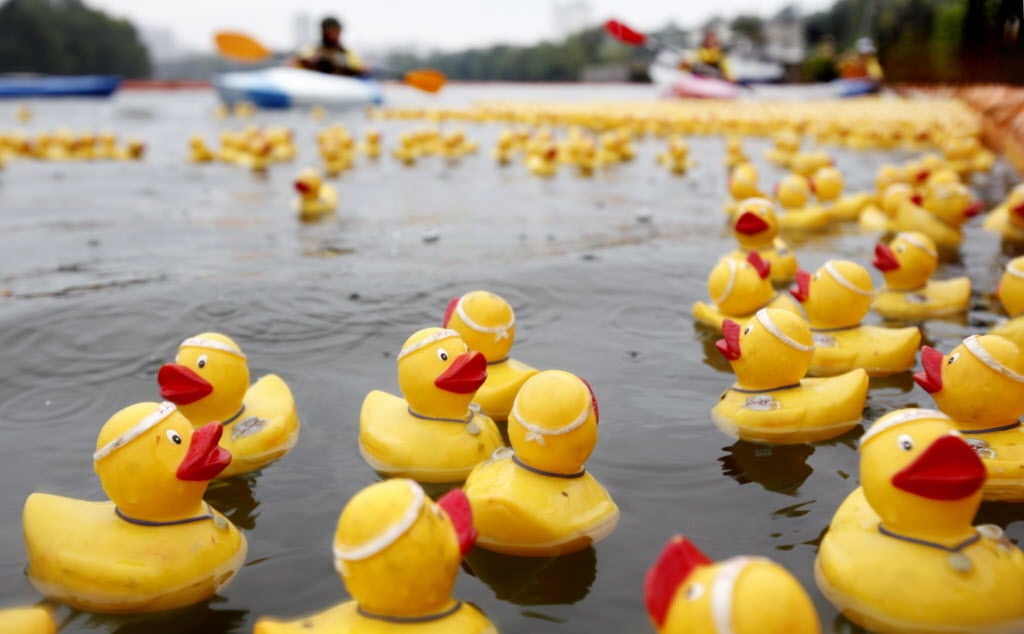 Duck Race Out, Enter 'An Evening for Kids’ Sake'