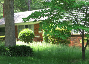 Video Virginia teen who mows neighbors' lawns for free gets a