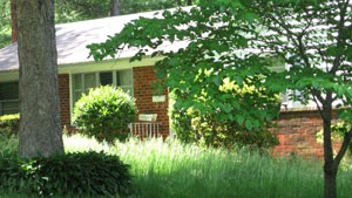 Uncut Yard Becomes A Pain In The Grass For Neighbors Property Values Richmond Local News Richmond Com Uncut Yard Becomes A Pain In The Grass For Neighbors Property Values Richmond Local News Richmond Com