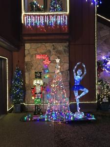 12618 Dawnridge Court Richmond Tacky Lights 2024