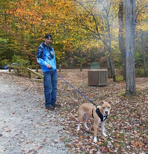 Pets at Virginia State Parks