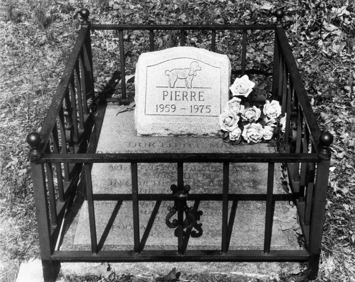 From The Archives Richmond S Oldest Pet Cemetery History Richmond Com