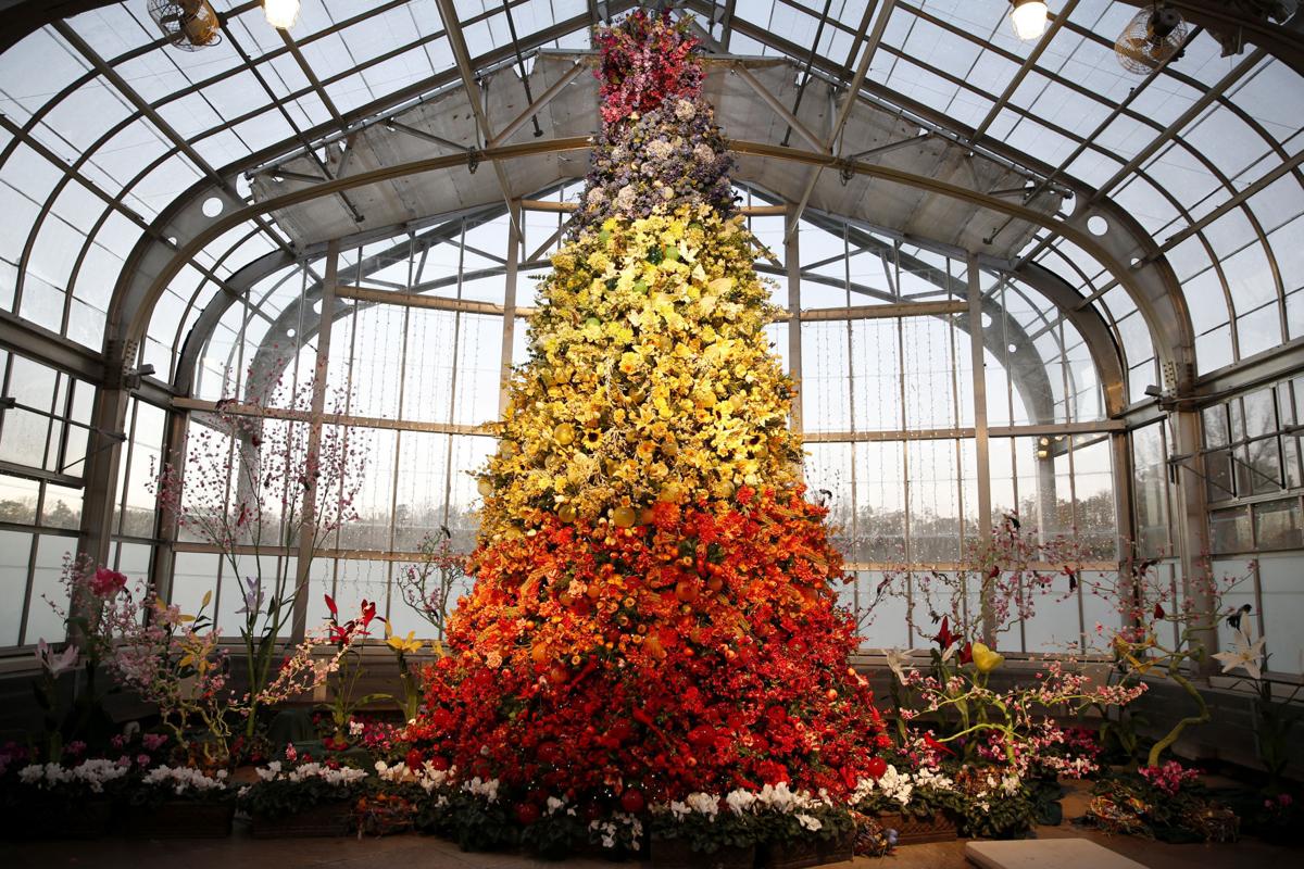 lohmann a holiday tradition in full bloom at lewis ginter lewis ginter botanical garden christmas lights