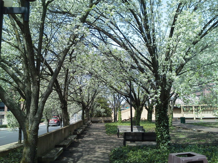 Why Richmond, Why?!? What Happened to Kanawha Plaza?