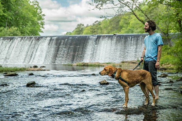Pets at Virginia State Parks