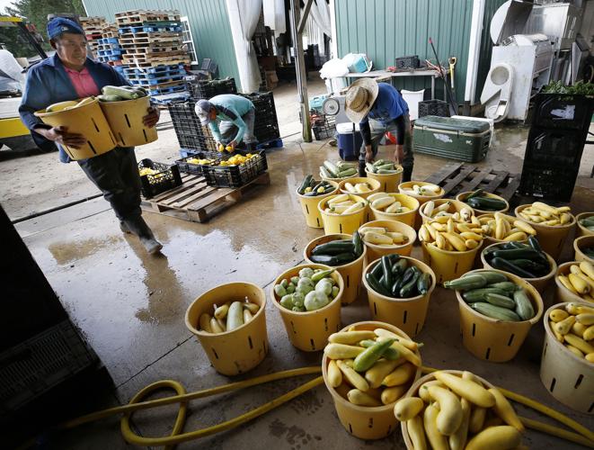 Richmondbased Seasonal Roots delivers locally grown produce all year