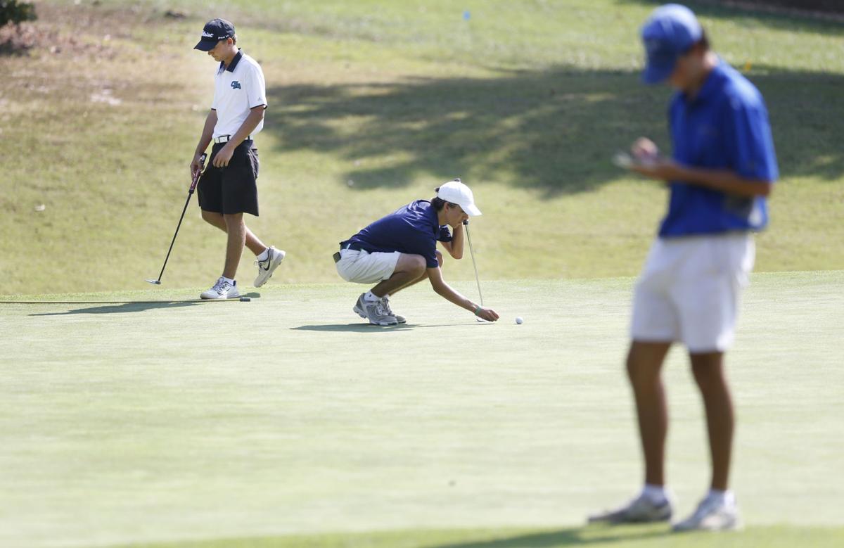 Golf: Freeman Boys Win Region 3B, Sports