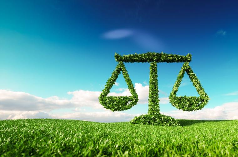 Eco-friendly Law Concept