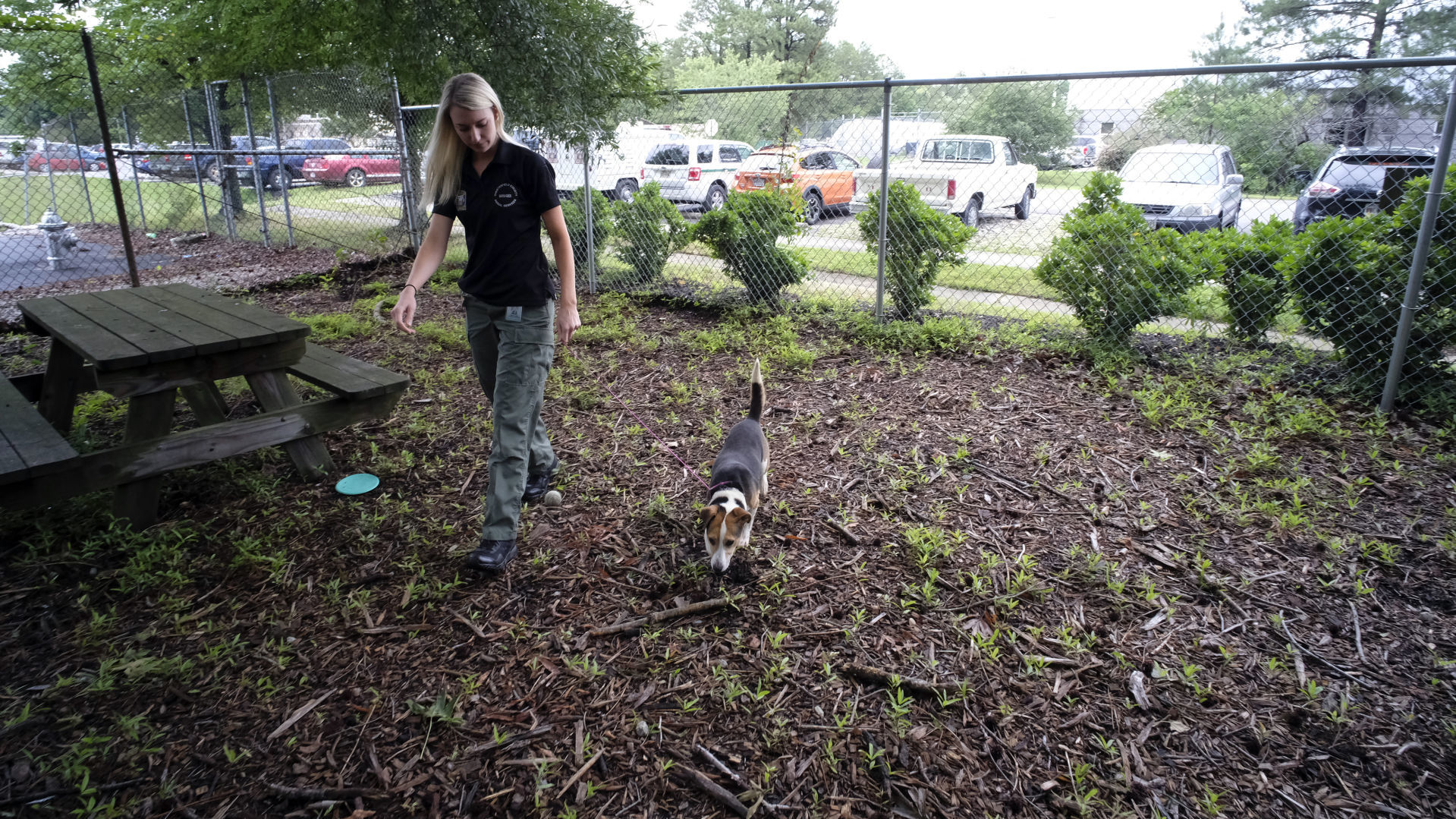 Chesterfield To Build New Pet Adoption Center, Moving Function From ...