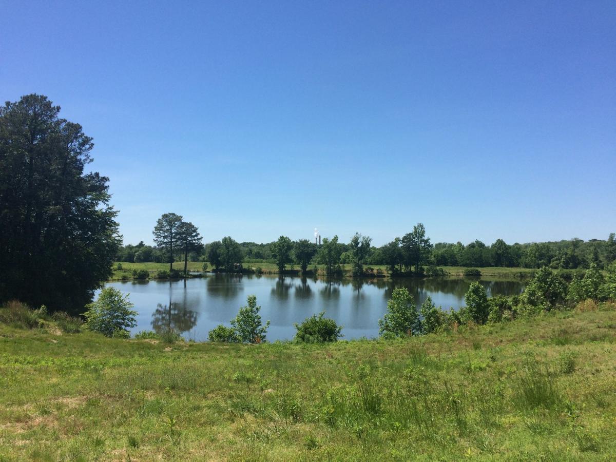 20180119_BIZ_GOLF_p12