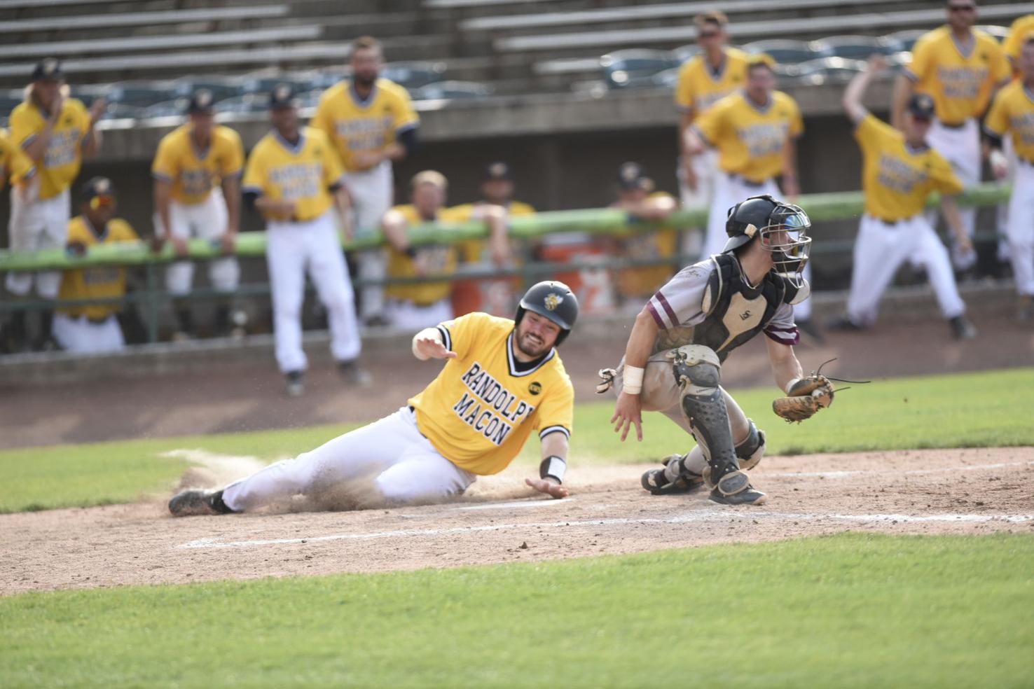 RandolphMacon gets NCAA baseball berth