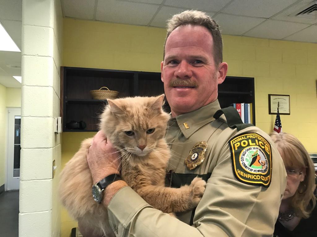 Sunday Q A With Lt Shawn Sears Of The Henrico Animal Protection