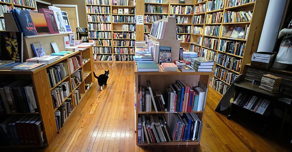 Owner of Chop Suey Books selling the shop, along with WonTon the cat