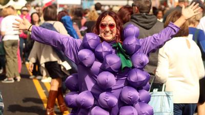 Excitement rising for return of the Powhatan Festival of the Grape