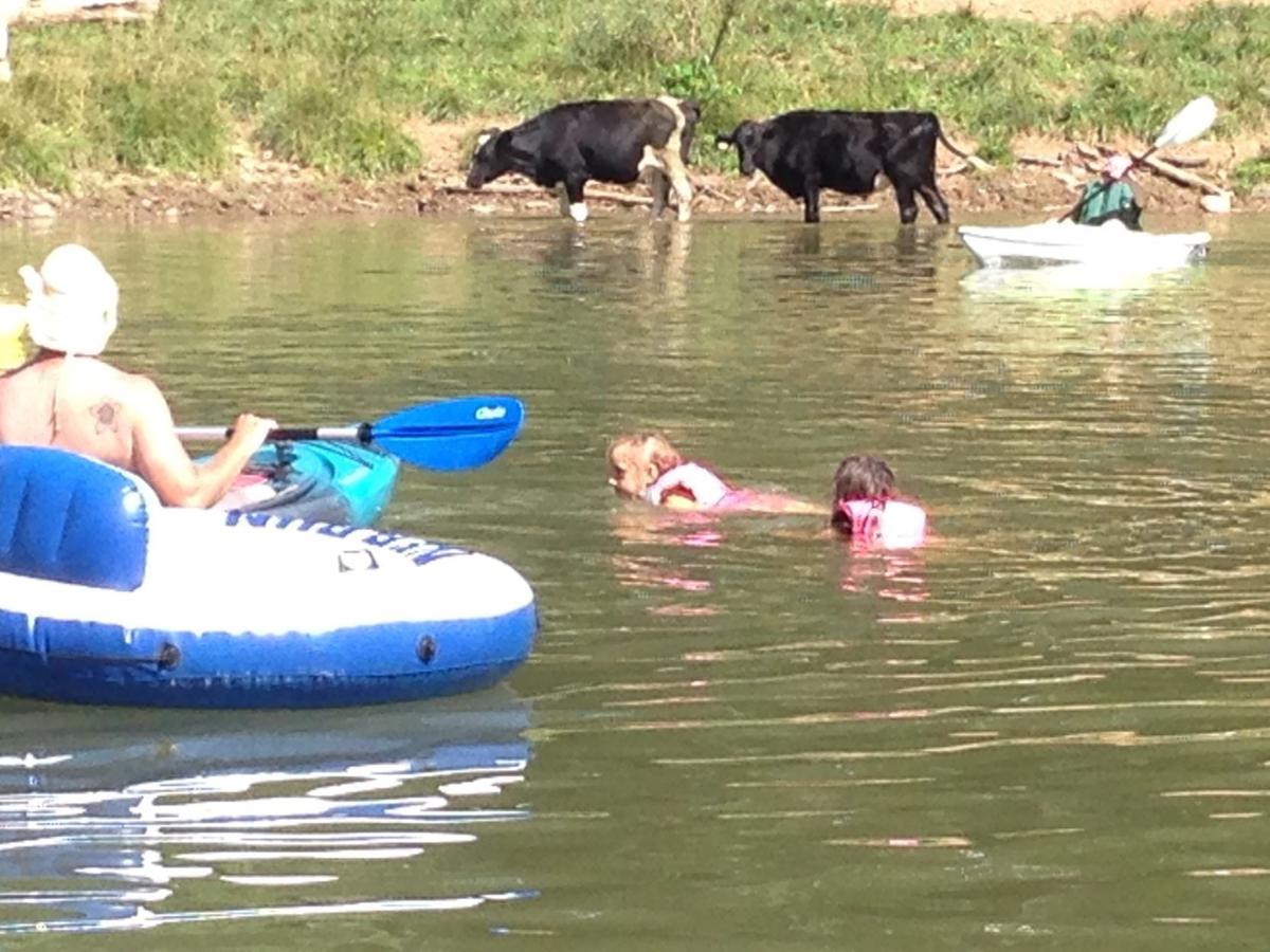 A billion gallons of liquid cow manure is generated yearly in the