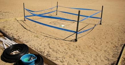 Sea turtle nest found at Virginia Beachs North End is first since 2019 and the eggs are close to hatching Sea turtle nest found at Virginia Beachs North End is first since 2019 and the eggs are close to hatching