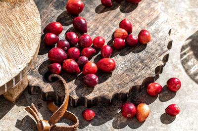 Beyond craisins and juice: 6 products for more cranberry goodness
