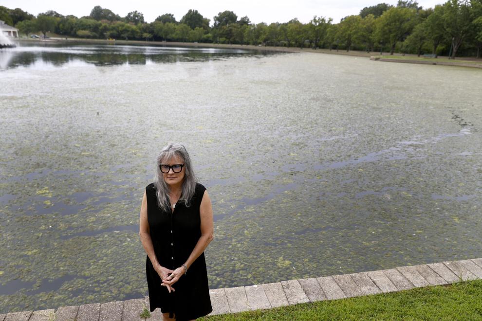 Richmond planning to clean algae buildup in Fountain Lake