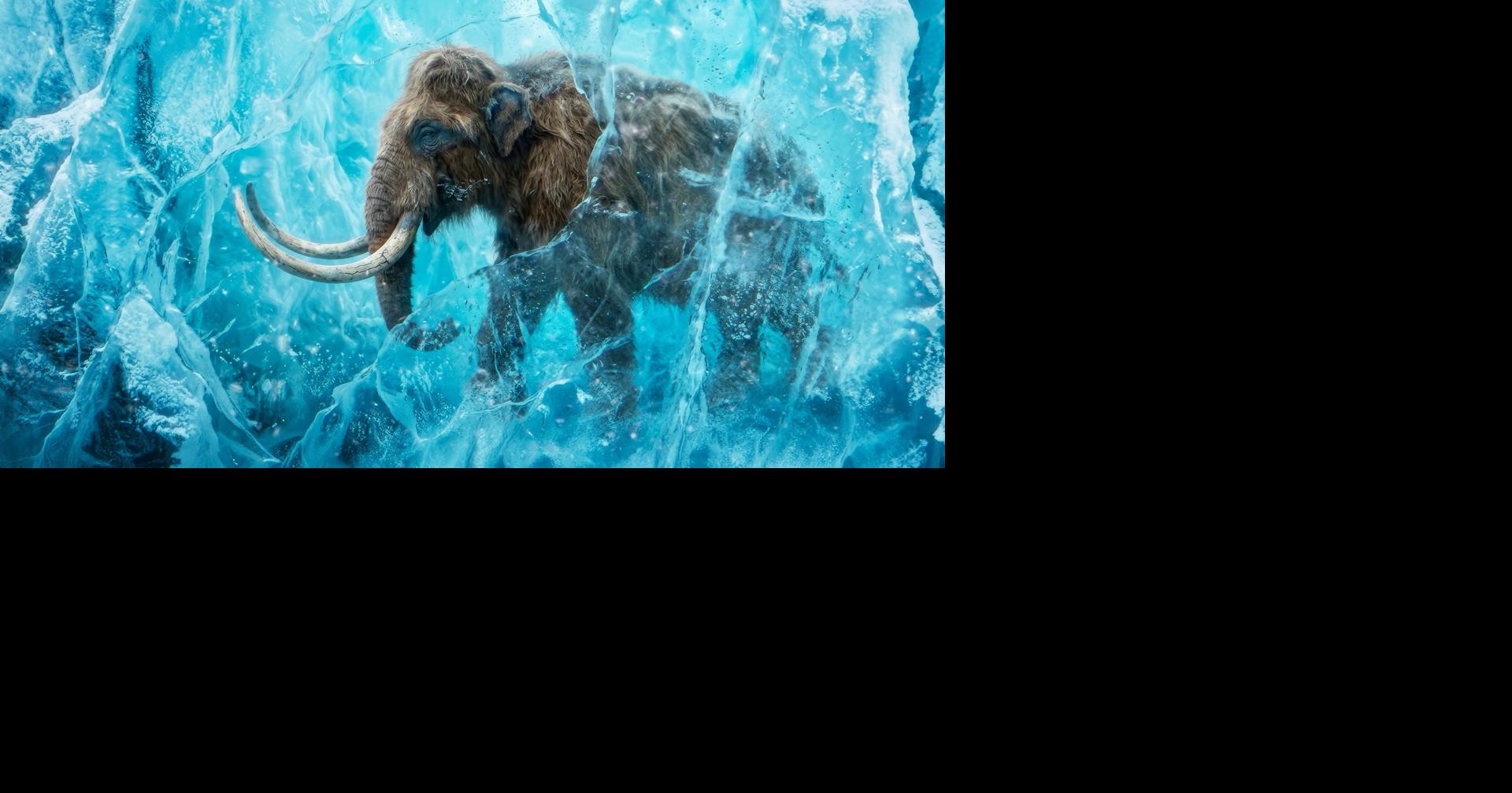 Life-size animatronics headed to the Metro Richmond Zoo Aug 18, 2026