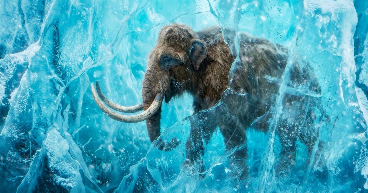 Life-size animatronics headed to the Metro Richmond Zoo Aug 18, 2026