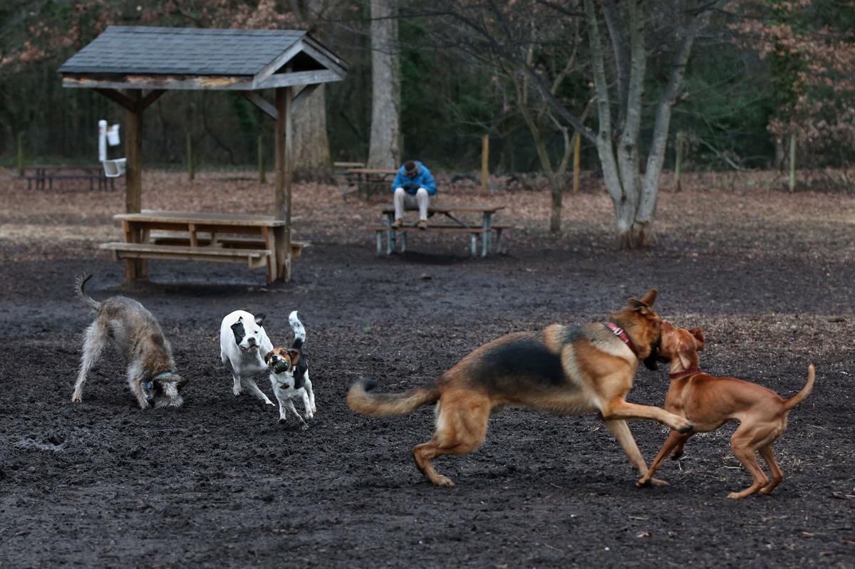 For Richmondarea dogs and owners, dozens of parks, trails and more