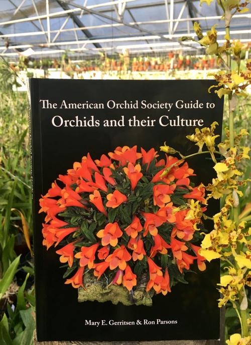 Orchids A Comprehensive Guide To Help Hobbyists Grow Orchids Food Drink Richmond Com