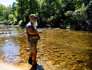 99% oppose ending national forest rule. It may happen anyway