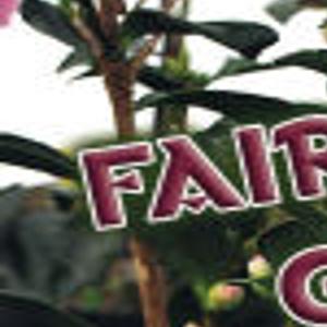 10 Must Have Gardening Catalogs Richmond Com