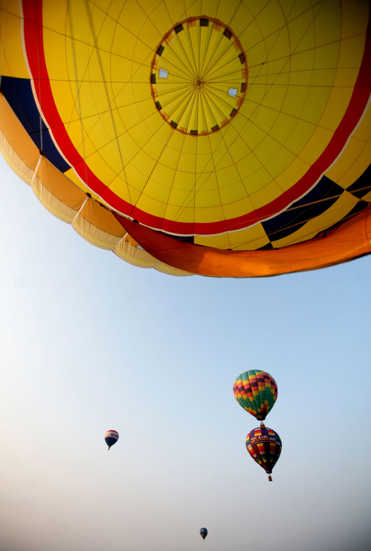 PHOTOS Lexington Fourth of July Balloon Rally