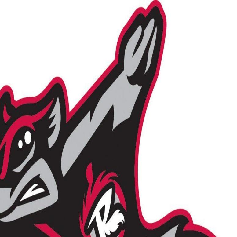 Flying Squirrels No 1 Minor League Logo According To Baseball America Sports Richmond Com